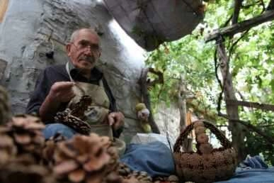 Çam kozalaklarını sanat eserine dönüştürüyor