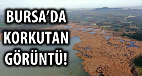 BURSA'DA KORKUTAN GÖRÜNTÜ!