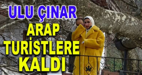 Ulu çınar Arap turistlere kaldı