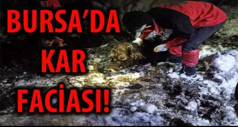 BURSA'DA KAR FACİASI!