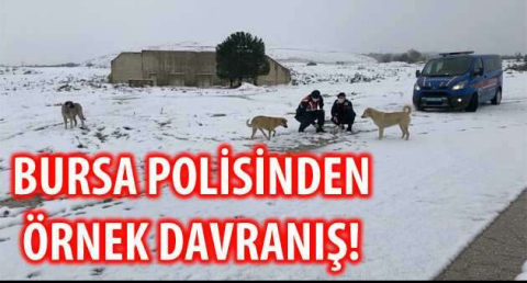 BURSA POLİSİNDEN ÖRNEK DAVRANIŞ!