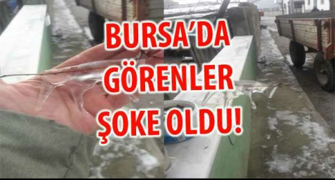 BURSA'DA GÖRENLER ŞOKE OLDU!