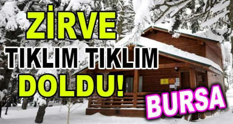 Bursa Uludağ'daki orman köşkleri, sömestir tatilinde tamamen doldu