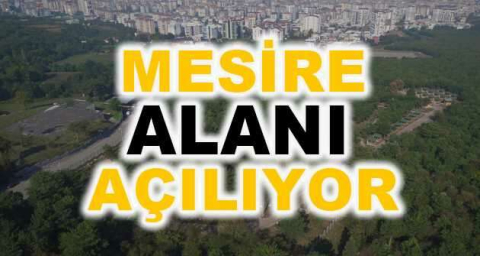 Uludağ'ın eteklerindeki Balaban Mesire alanı açılıyor