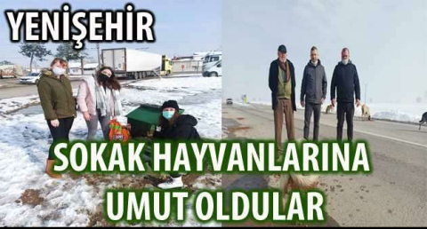 Sokak hayvanlarına umut oldular