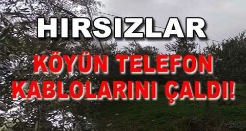 Hırsızlar köyün telefon kablolarını çaldı
