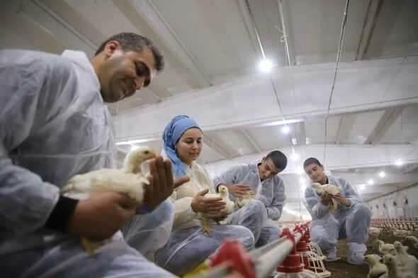 Devletten aldığı destekle çiftlik sahibi oldu, şimdi ailece çalışıyorlar