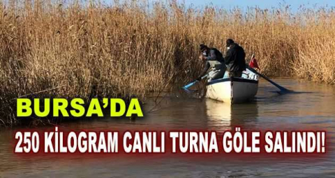 Bursa’da kullanılması yasak av malzemeleri ele geçirildi