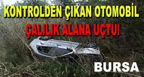 Bursa'da kontrolden çıkan otomobil çalılık alana uçtu