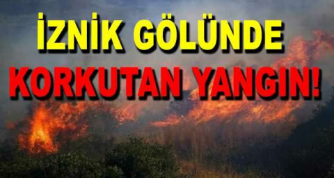 İznik Gölünde korkutan yangın: 60 dönüm arazi kül oldu