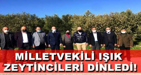 Milletvekili Işık zeytincileri dinledi
