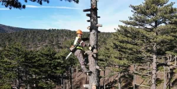 Ormanın sincap adamları ayda 15 bin TL kazanıyor