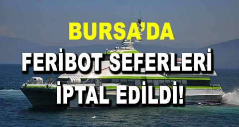 Bursa'da lodos nedeniyle bazı feribot seferleri iptal edildi