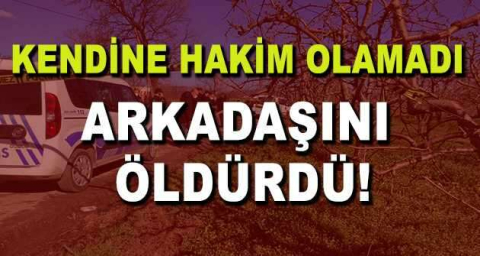 Halüsinasyon gördü, arkadaşını öldürdü
