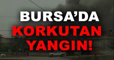 Bursa'da korkutan yangın! Küle döndü...