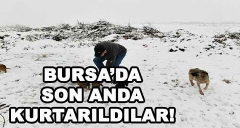 BURSA'DA SON ANDA KURTARILDILAR!