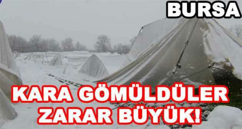 KARA GÖMÜLDÜLER ZARAR BÜYÜK!