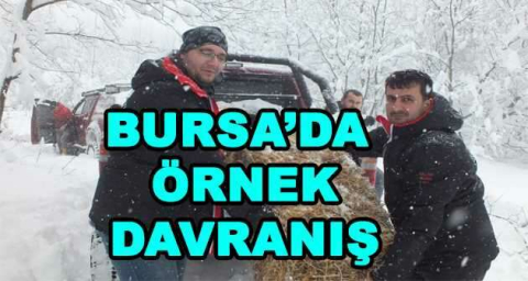 BURSA'DA ÖRNEK DAVRANIŞ