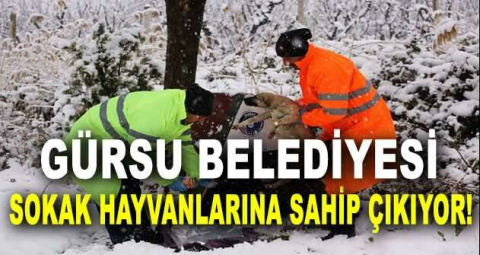 IŞIK: "KARA KIŞTA CAN DOSTLARININ YANINDAYIZ"