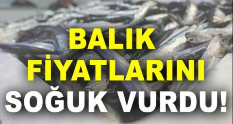 BALIK FİYATLARINI SOĞUK VURDU