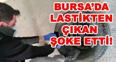 BURSA'DA LASTİKTEN ÇIKAN ŞOKE ETTİ!