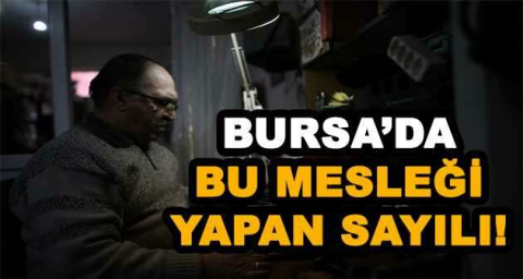 BURSA'DA BU MESLEĞİ YAPAN SAYILI!