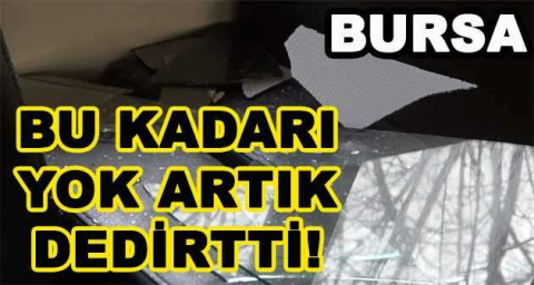 BU KADARI YOK ARTIK DEDİRTTİ!