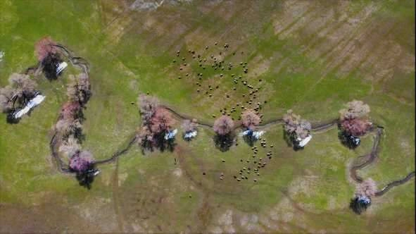 Muş'ta iki mevsim bir arada