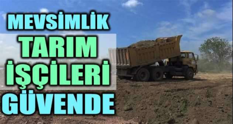 Mevsimlik tarım işçileri güvende