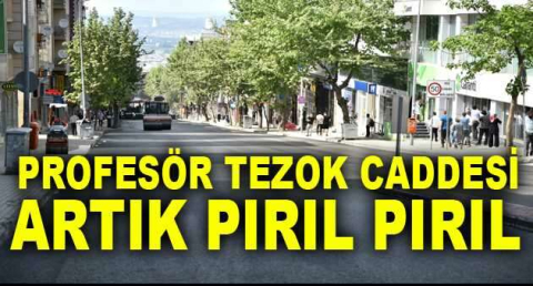 Profesör Tezok Caddesi artık pırıl pırıl