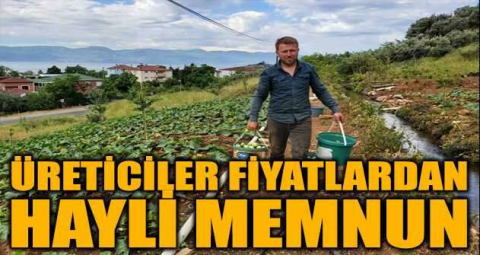 Kabak hasadı başladı, çiftçi fiyatlardan memnun