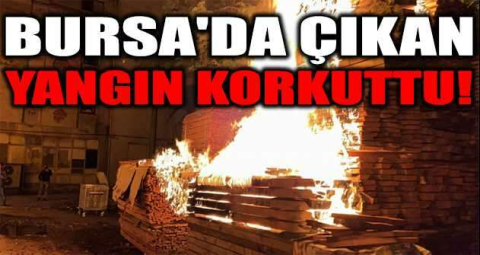 Bursa'da 5 ayrı noktada çıkan yangın korkuttu