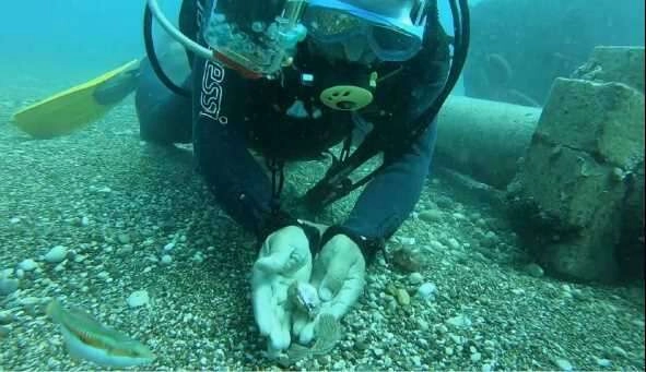 Siyanürden 1200 kat daha güçlü zehri var! Su altında elleriyle besledi