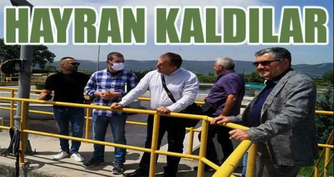 Yeşil Çevre'nin çalışmaları Avrupa'nın radarında