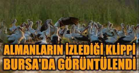 3 yılda 10 bin 985 kilometre kat etti...Almanların uydudan izlediği Klippi Bursa'da görüntülendi