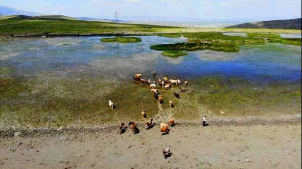 Erzurum'da kuraklık hat safhada, göller bir bir kuruyor