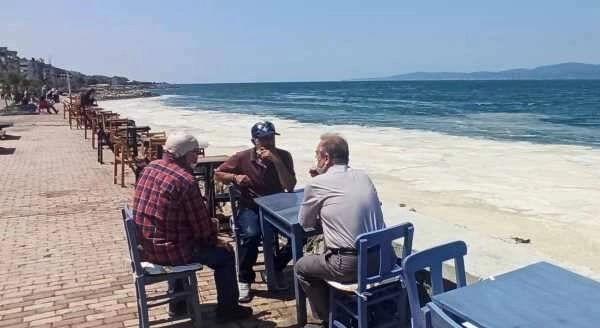 Marmara'nın Güney'inde müsilaj tehlikesi devam ediyor