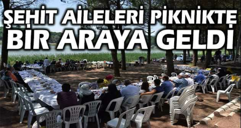 Şehit aileleri piknikte bir araya geldi