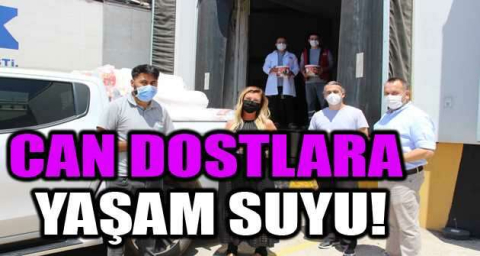 Nilüfer’de can dostlara yaşam suyu