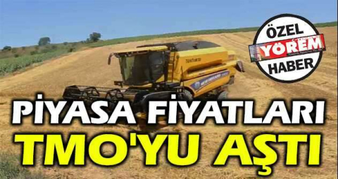 Piyasa fiyatları TMO'yu aştı