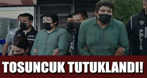 Çiftlik Bank davasında 'Tosuncuk' Mehmet Aydın tutuklandı