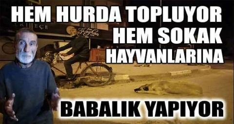 Hem hurda topluyor, hem sokak hayvanlarına babalık yapıyor