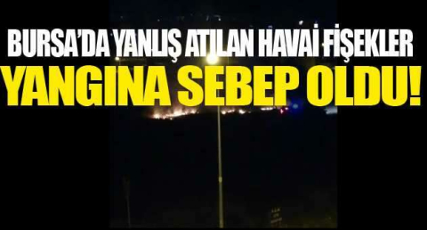Bursa’da eğlence uğruna çalılıkları yaktılar