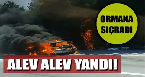Bursa'da yanan otomobildeki alevler ormana sıçradı
