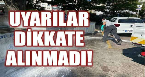 Uyarılar dikkate alınmadı, karasinek çoğaldı