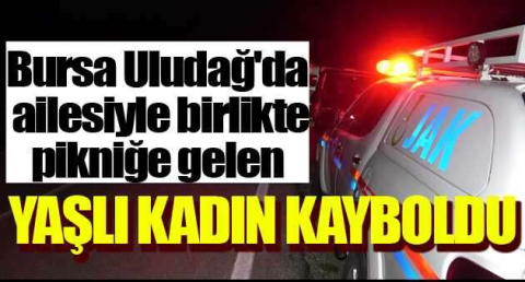 Uludağ'da odun toplamak için ormana giren yaşlı kadın kayboldu