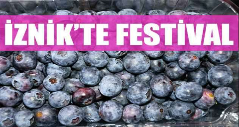 İznik’te yaban mersini festivali