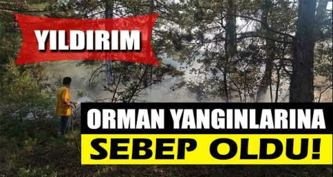 Yıldırım orman yangınlarına sebep oldu