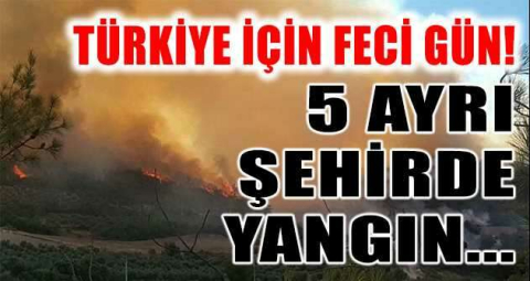 Türkiye için feci gün: Antalya'dan sonra 5 ayrı şehirde yangın çıktı