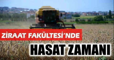 Ziraat Fakültesi’nde hasat zamanı